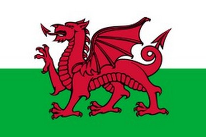 3109898_flag_Yelsa1 (420x280, 21Kb)