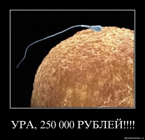 4743317_1253625604_122 (500x484, 33Kb)