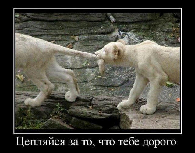 4743317_8deef507ff (640x505, 60Kb)