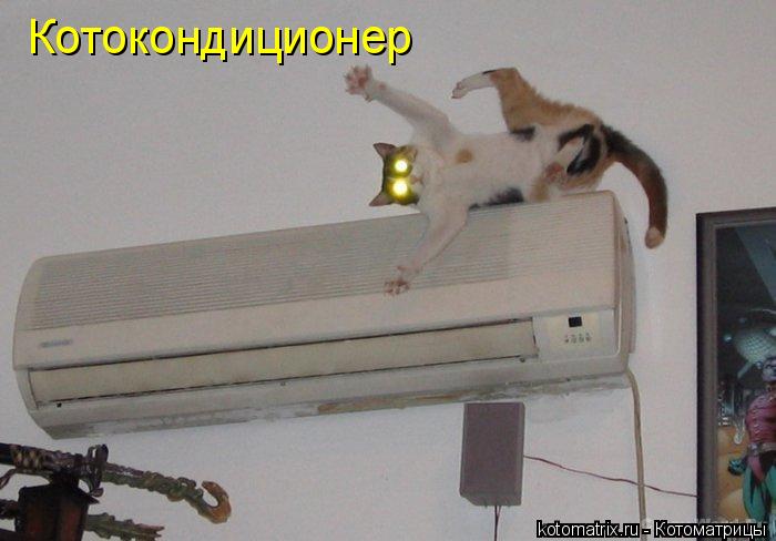 4743317_Lk (700x488, 41Kb)