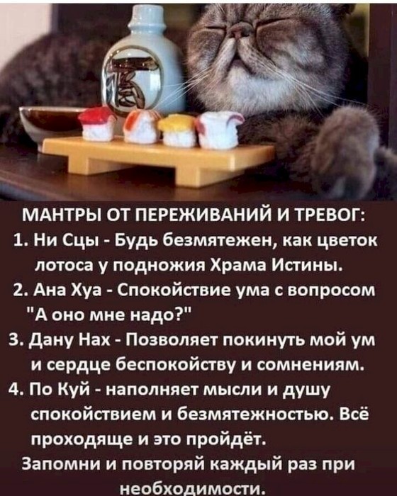 4743317_674bdf3b (560x700, 107Kb)