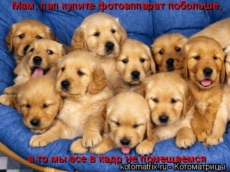 4743317_mm (450x337, 40Kb)