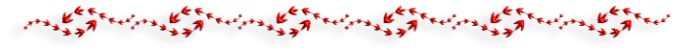 -3-1 (700x48, 32Kb)