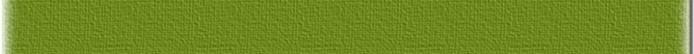 2 (700x54, 38Kb)