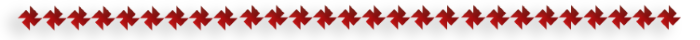 1-1 (700x40, 29Kb)
