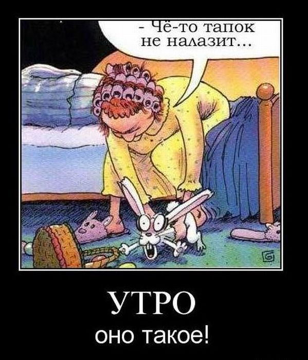 4743317_demotivatiry_05 (599x700, 87Kb)