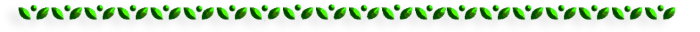 -10-1 (700x32, 26Kb)