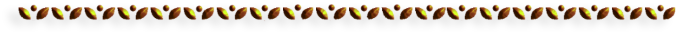 -10-2 (700x32, 28Kb)