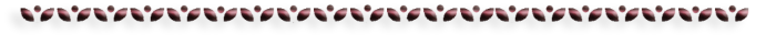 -10-5 (700x32, 27Kb)