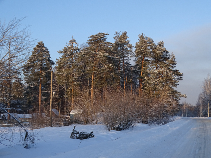DSC00042 (700x525, 425Kb)