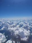 ?????? 333ae20200628-134347 (480x640, 184Kb)