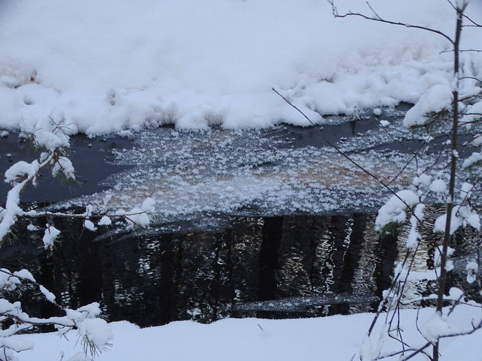 DSC00113 (700x525, 398Kb)