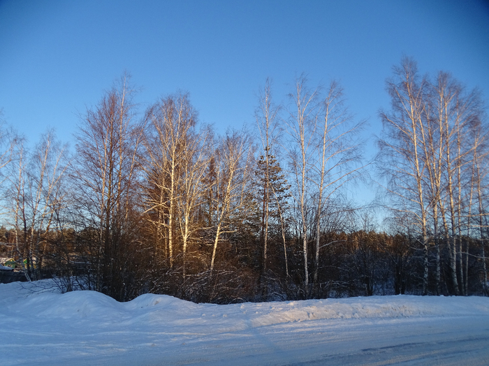 DSC00156 (700x525, 471Kb)