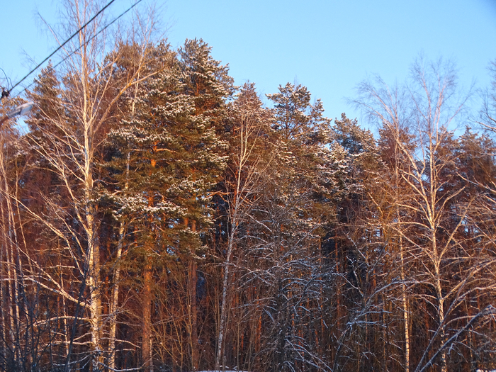 DSC00165 (700x525, 622Kb)