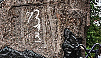 7290692_Kronshtat_2_1_ (341x190, 44Kb)