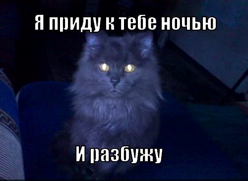 ____2 (500x366, 187Kb)