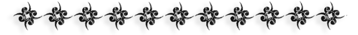 -13 (700x70, 48Kb)