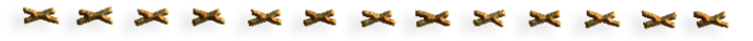 -1 (700x38, 24Kb)