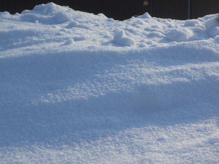 4533467_DSCN72911 (700x525, 246Kb)