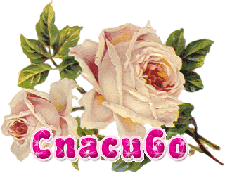 fbd9286041bc6713fbd3ff8161aec691 (320x246, 87Kb)