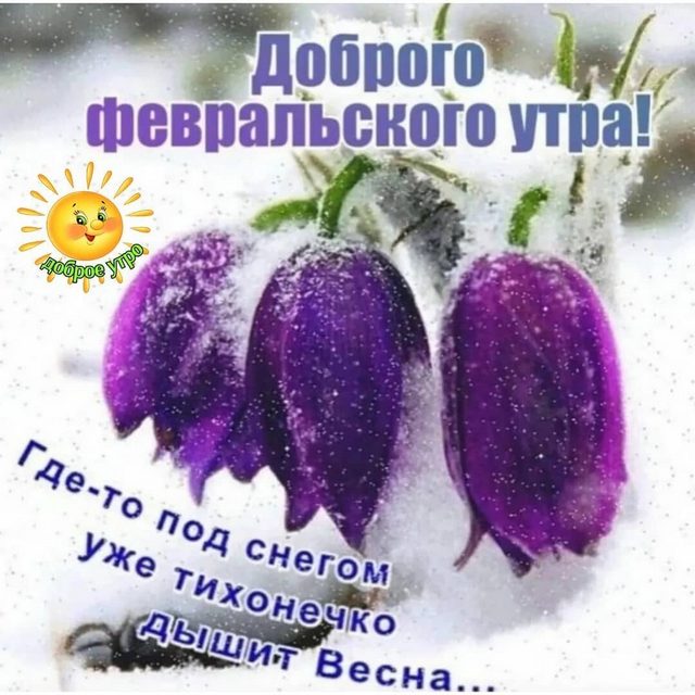 4743317_image20220214_07_55_17 (640x640, 77Kb)