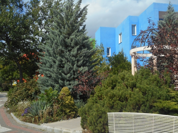 4752699_ttDSCN0320 (700x525, 358Kb)