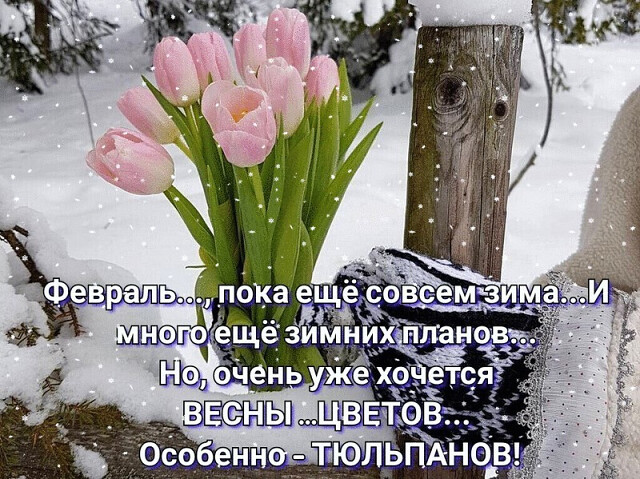 ПОКА ФЕВРАЛЬ (640x479, 145Kb)