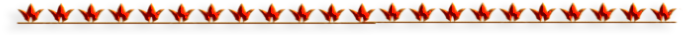 -11 (700x35, 35Kb)