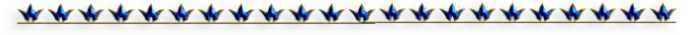 -11 (700x35, 38Kb)