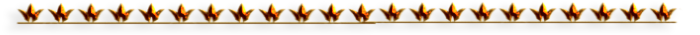 -11 (700x35, 36Kb)