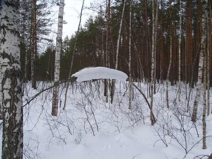 DSC00137 (700x525, 475Kb)