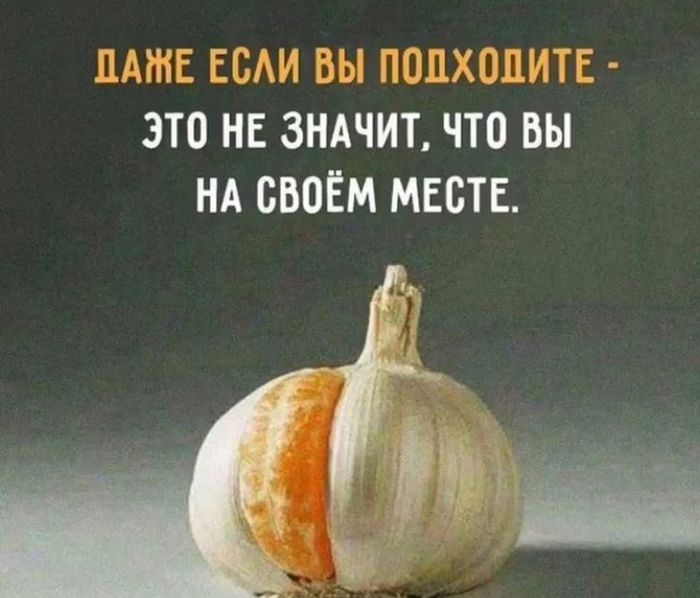 https://img0.liveinternet.ru/images/attach/d/4/163/785/163785772_3fc24f6bf6d8103a7c7ef532917618cb.jpg