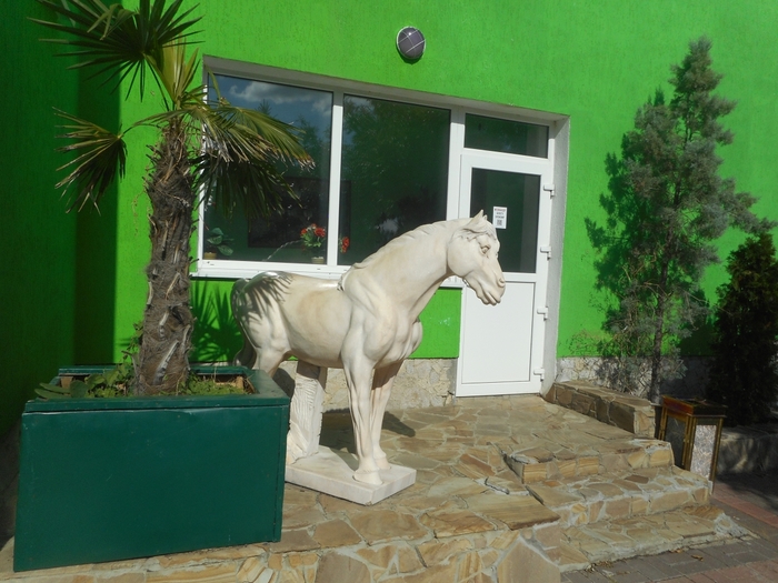 4752699_ttDSCN0722 (700x525, 282Kb)