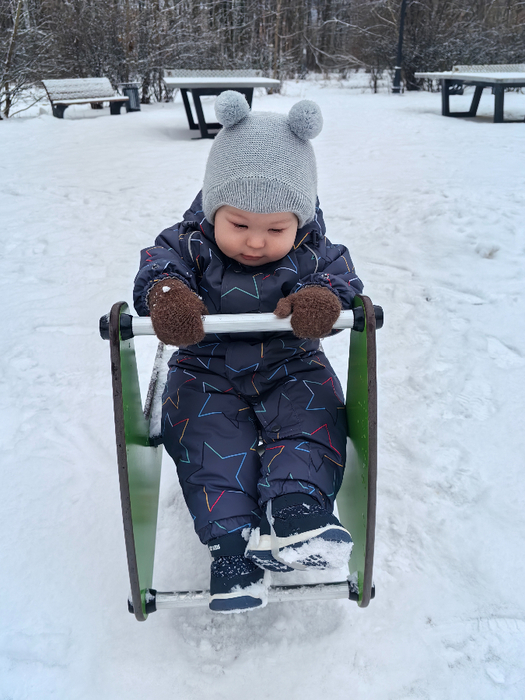 IMG_20250113_143752 (525x700, 380Kb)