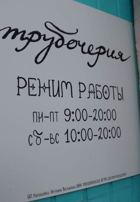 IMG_2857 (486x700, 145Kb)