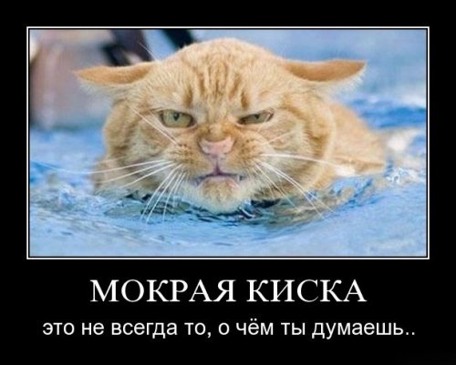 4743317_1253625519_014 (500x401, 32Kb)