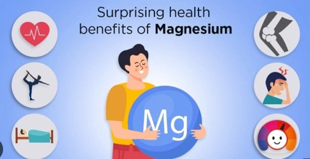 3183520_MagnijDljachegonuzhenorganizmu01 (625x322, 42Kb)
