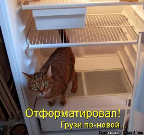 https://img0.liveinternet.ru/images/attach/d/4/163/798/163798956_4743317_i22916.jpg