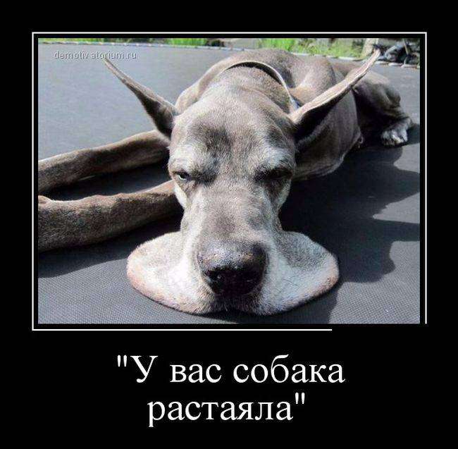 https://img0.liveinternet.ru/images/attach/d/4/163/799/163799288_4743317_1442201468_25.jpg