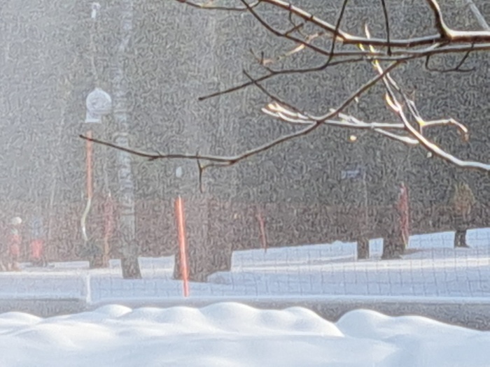 20250209_123611_001 (700x525, 114Kb)