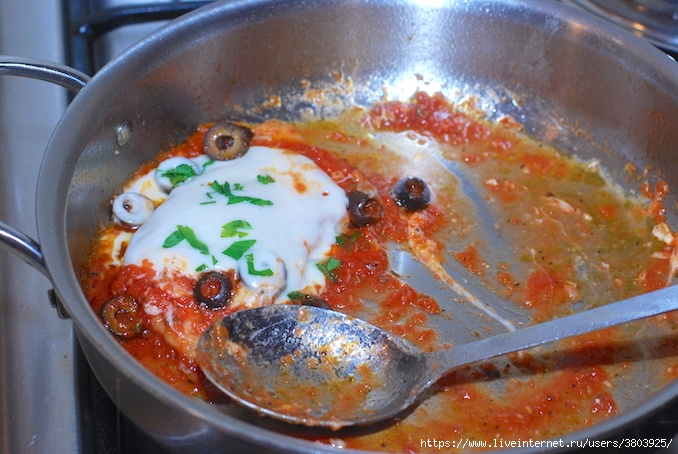 chicken-in-tomato-sauce00020 (678x454, 250Kb)