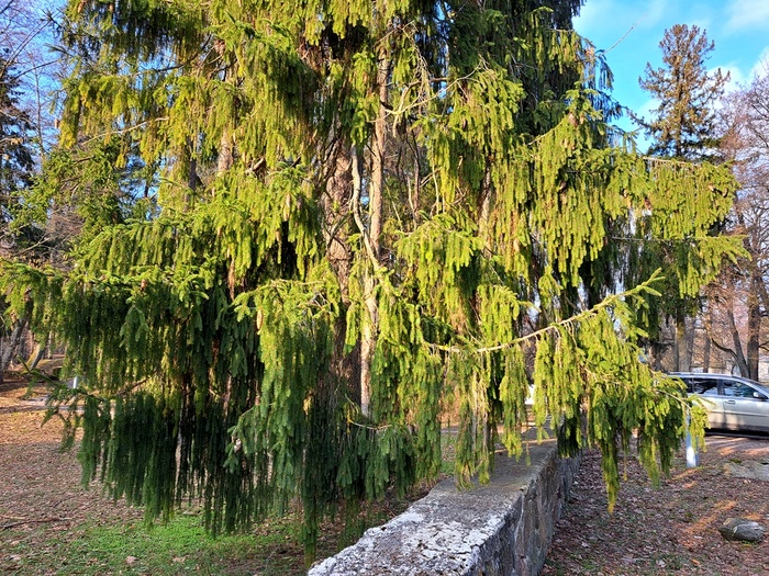20250209_132226 (700x525, 279Kb)