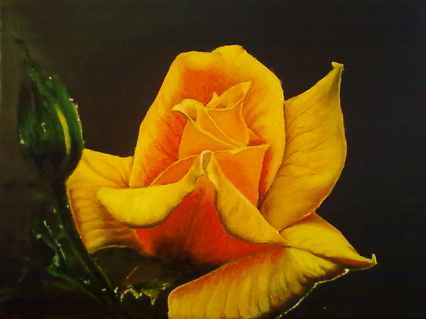 1355440445-0930637-www.nevsepic.com.ua (600x450, 186Kb)
