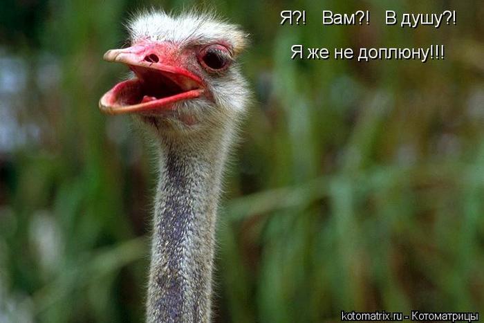4743317_3D (700x467, 41Kb)