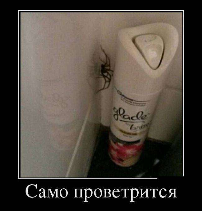 4743317_1442201405_18 (650x679, 28Kb)