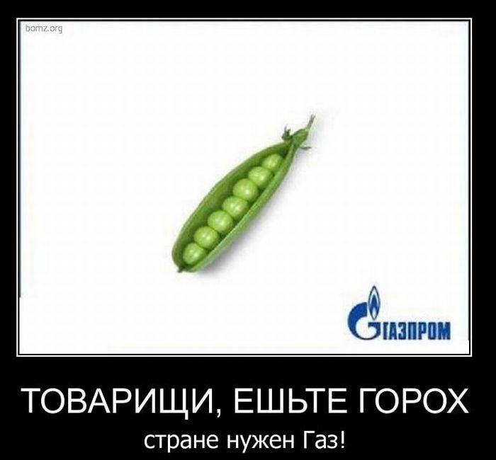 https://img0.liveinternet.ru/images/attach/d/4/163/820/163820052_4743317_demotivatory_28.jpg