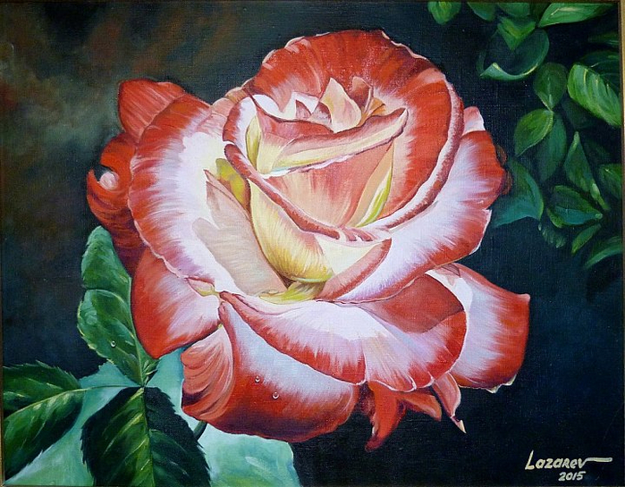 roza_1 (700x545, 469Kb)