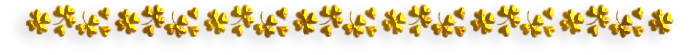 24203863-3 (700x55, 50Kb)