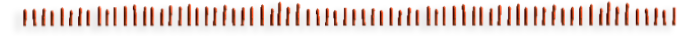 24248825-1 (700x36, 35Kb)