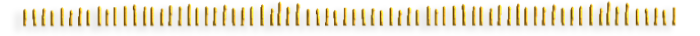 24248825-1 (700x36, 37Kb)